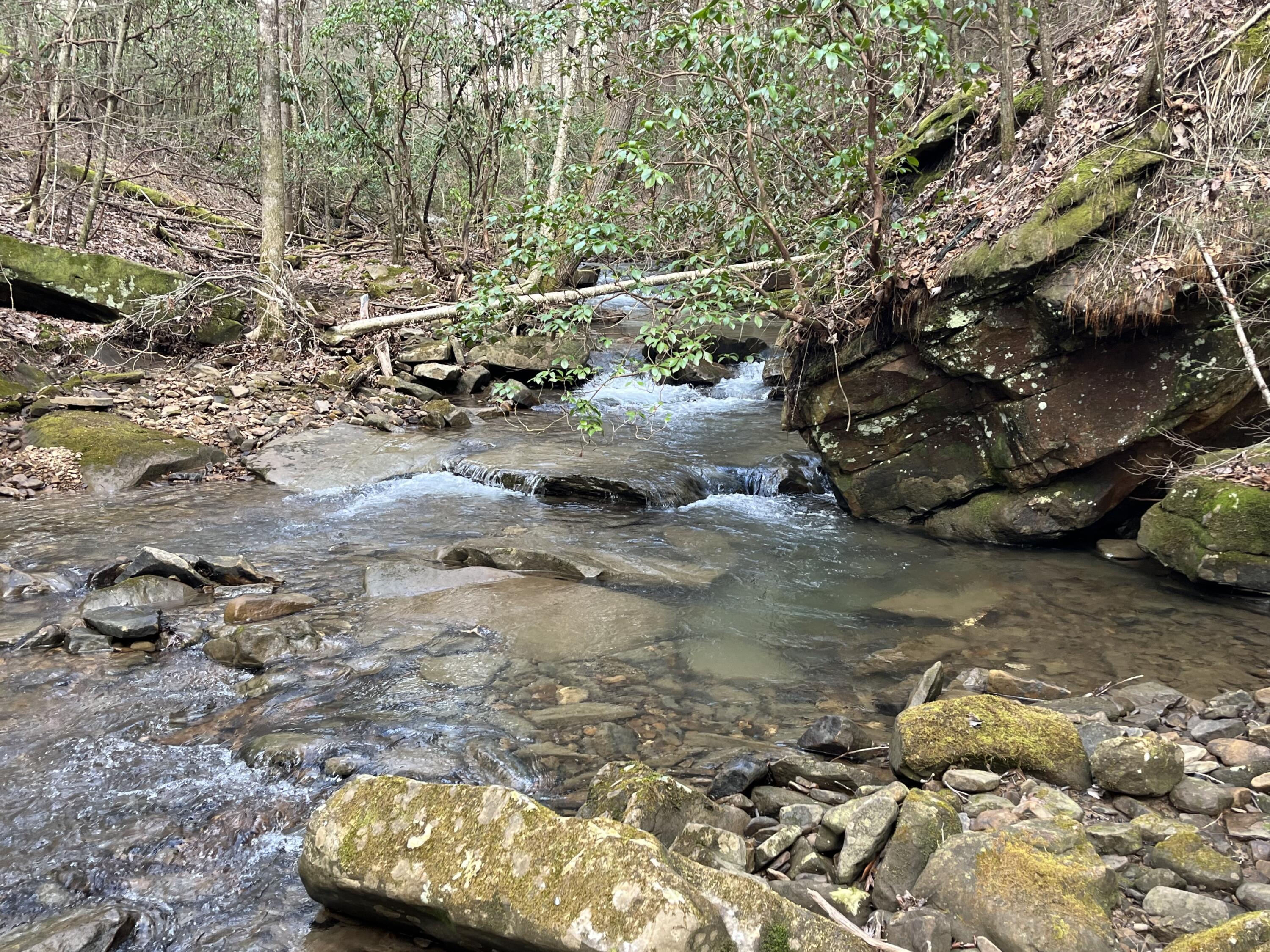 126 Kelly Creek Road Whitwell, TN 37397 - Photo 46 of 61 Photo Feb 22 2023, 12 43 44 PM