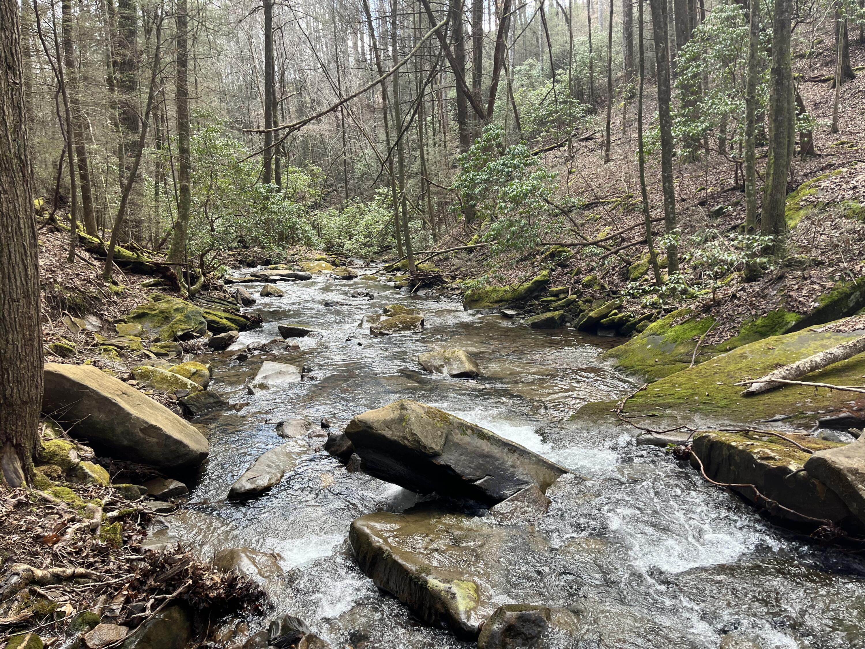 126 Kelly Creek Road Whitwell, TN 37397 - Photo 47 of 61 Photo Feb 22 2023, 12 45 04 PM