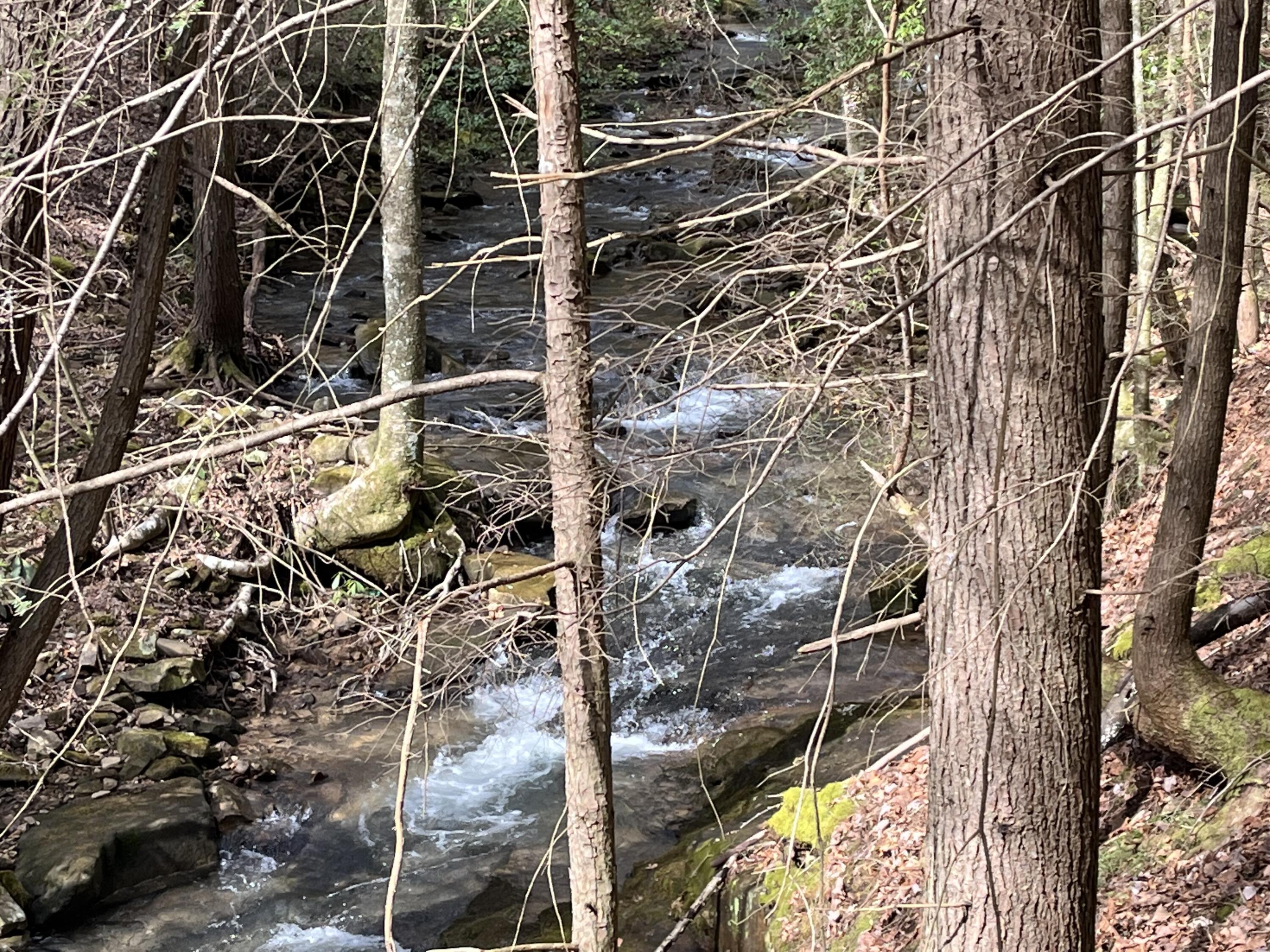 126 Kelly Creek Road Whitwell, TN 37397 - Photo 49 of 61 Photo Feb 22 2023, 12 46 15 PM
