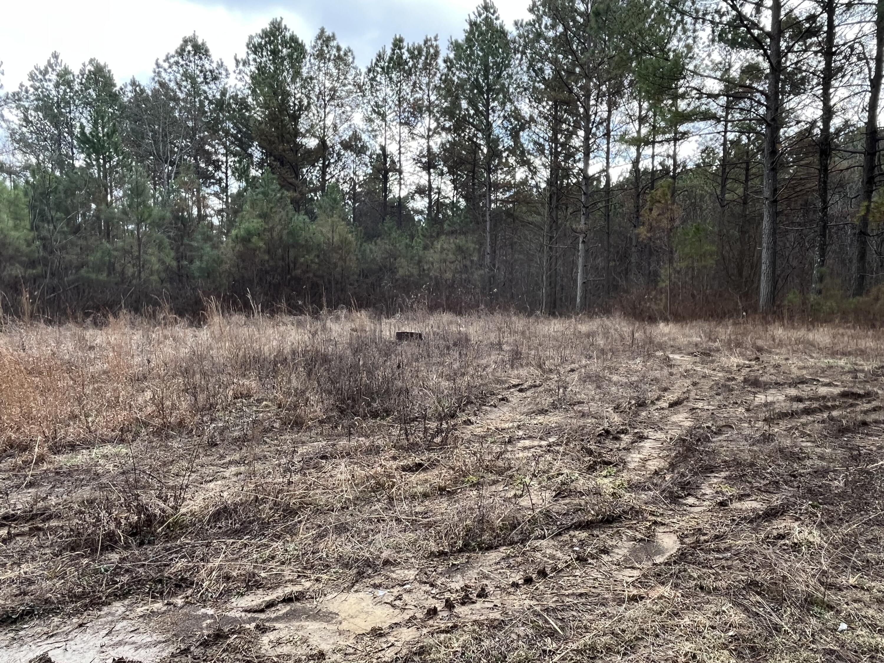 126 Kelly Creek Road Whitwell, TN 37397 - Photo 53 of 61 Photo Feb 22 2023, 11 59 33 AM