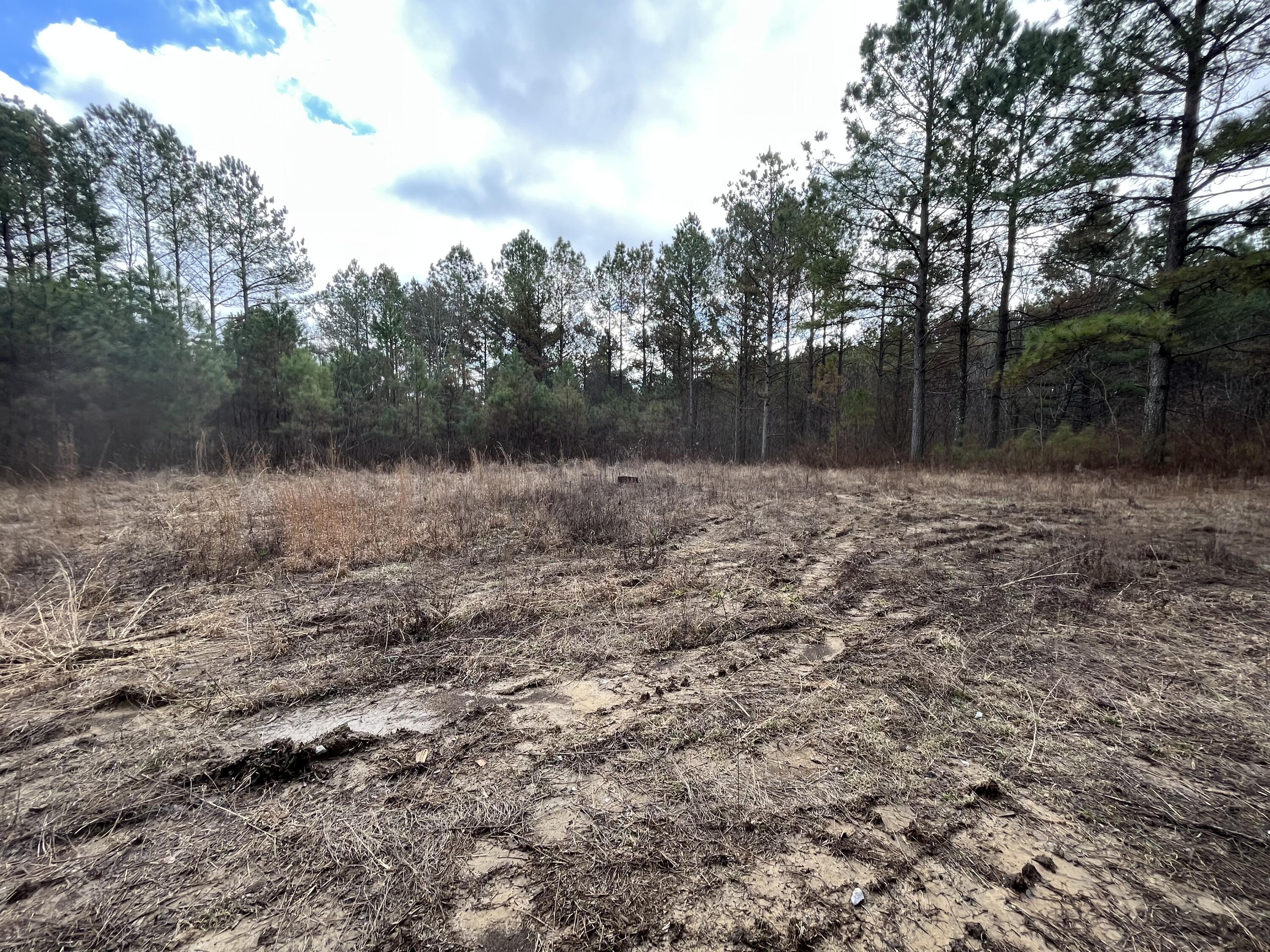 126 Kelly Creek Road Whitwell, TN 37397 - Photo 54 of 61 Photo Feb 22 2023, 11 59 36 AM