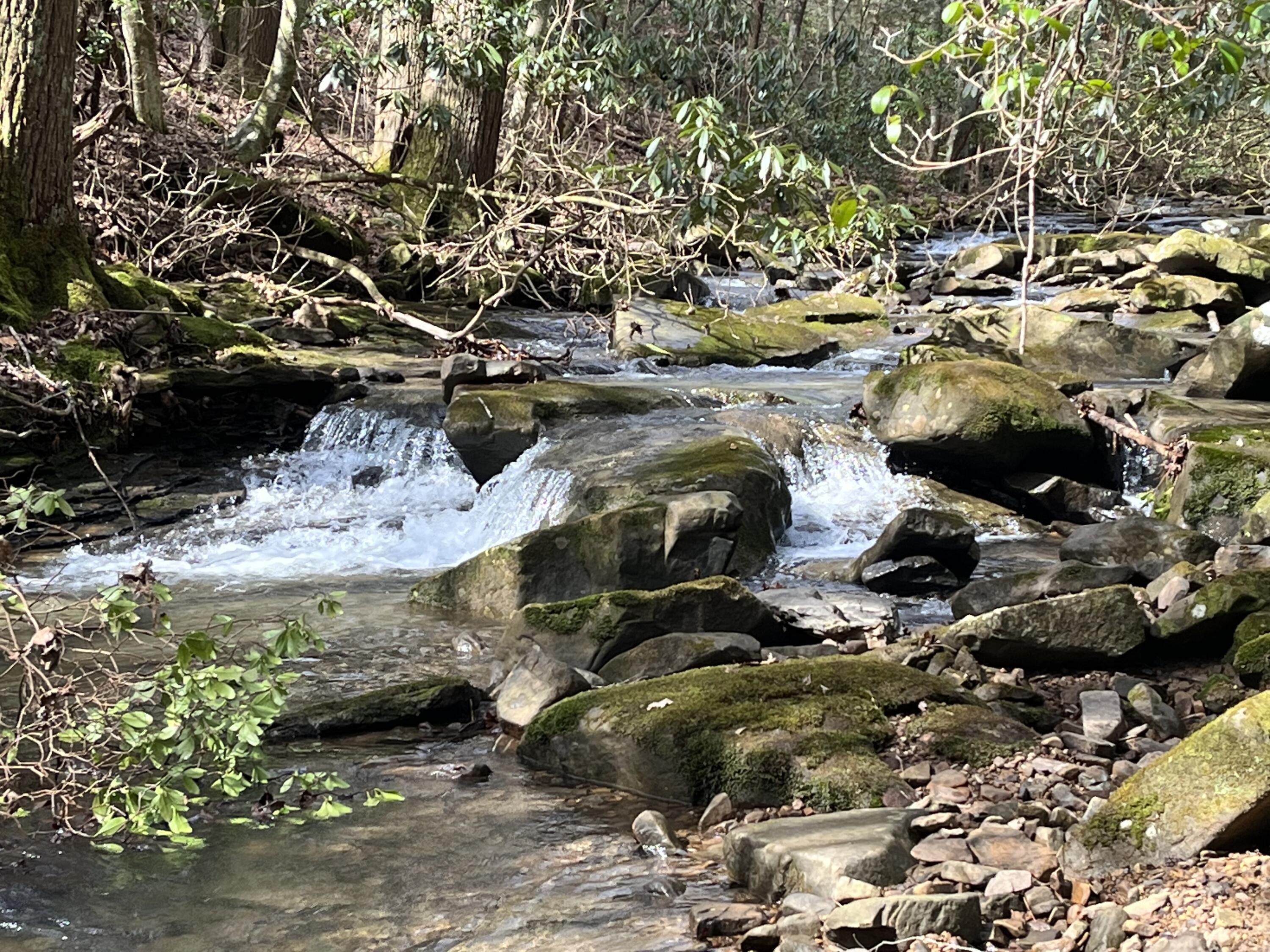 126 Kelly Creek Road Whitwell, TN 37397 - Photo 55 of 61 Photo Feb 22 2023, 12 50 46 PM