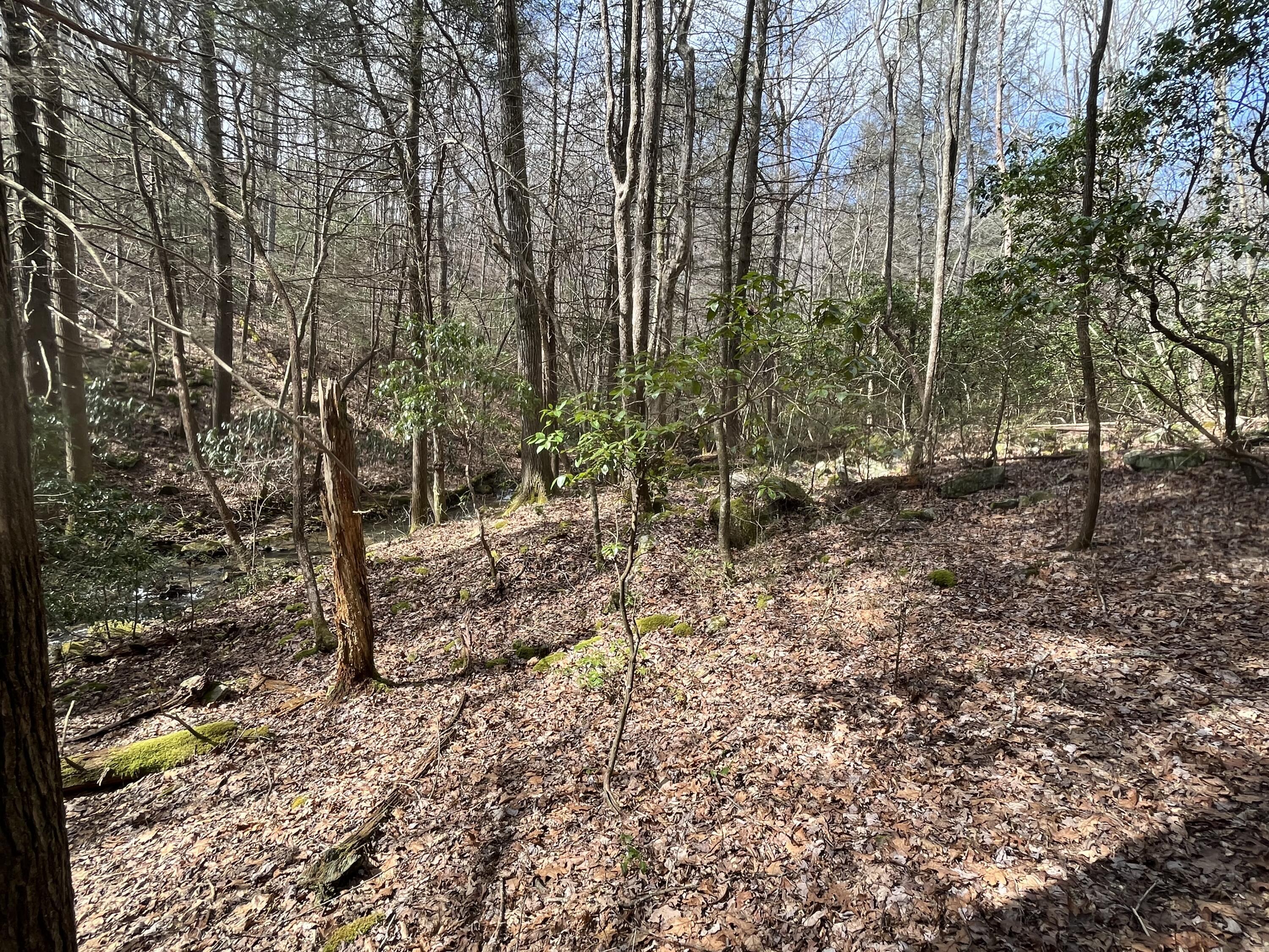 126 Kelly Creek Road Whitwell, TN 37397 - Photo 58 of 61 Photo Feb 22 2023, 12 52 34 PM