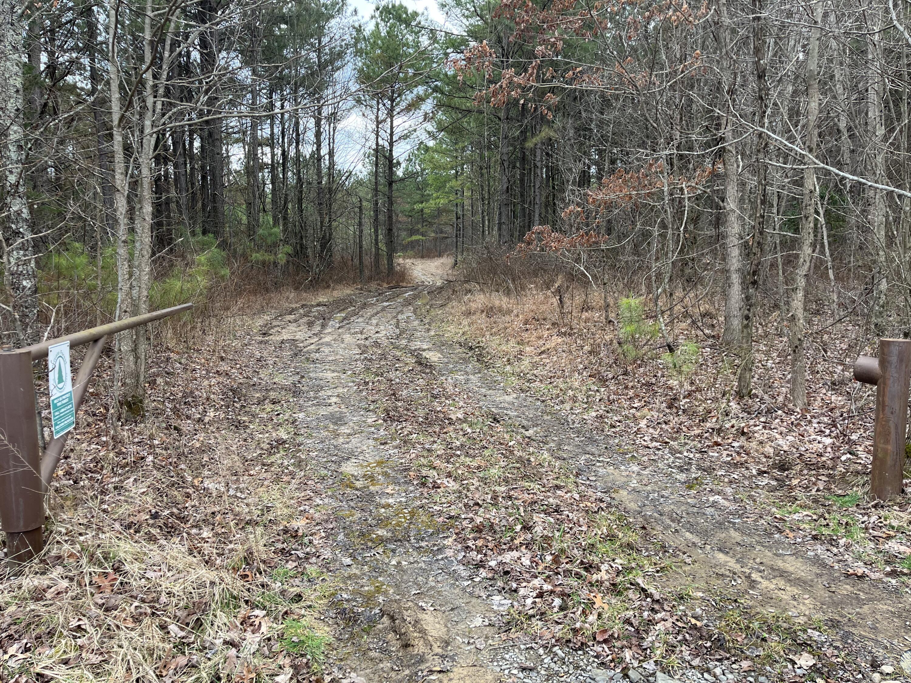 126 Kelly Creek Road Whitwell, TN 37397 - Photo 6 of 61 Photo Feb 22 2023, 11 57 26 AM