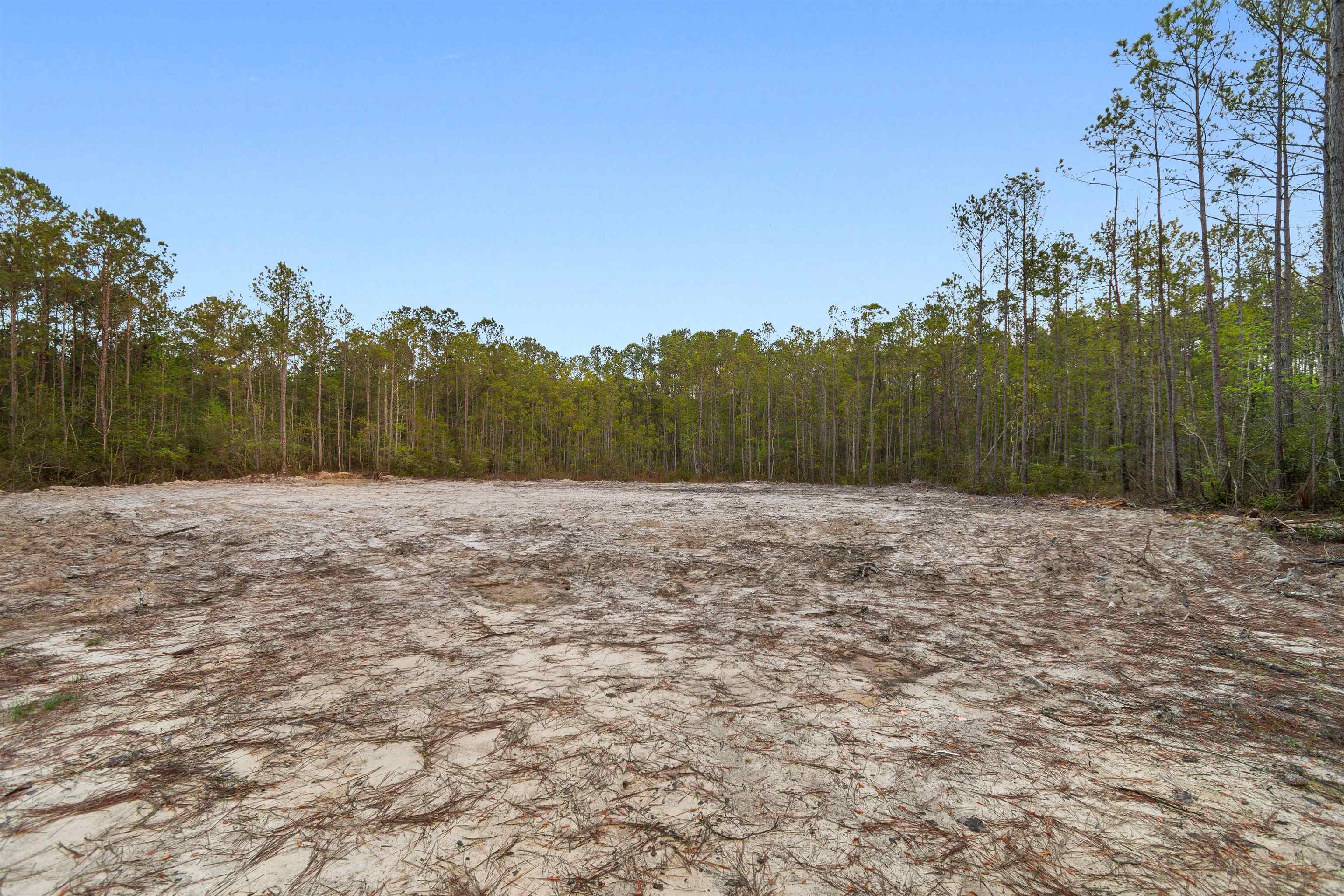 835 Indian Hut Road Georgetown, SC 29440 - Photo 3 of 19
