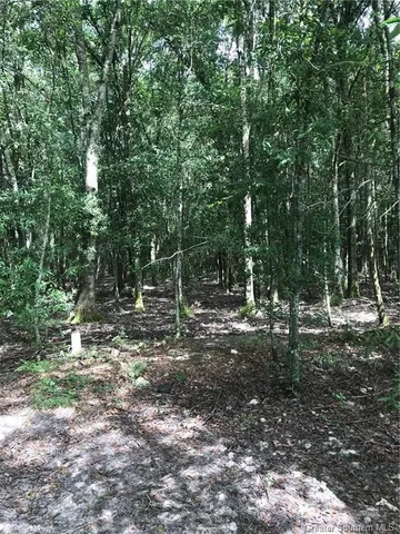 $99,000 | 0 Martin Road, Kinder, LA 70648