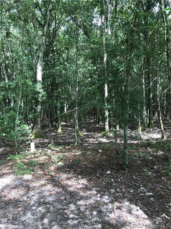 0 Martin Road Kinder, LA 70648 - Photo 2 of 6