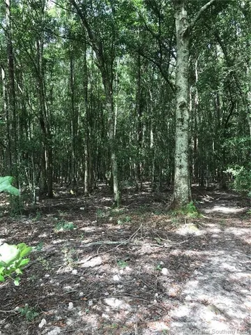 $99,000 | 0 Martin Road, Kinder, LA 70648