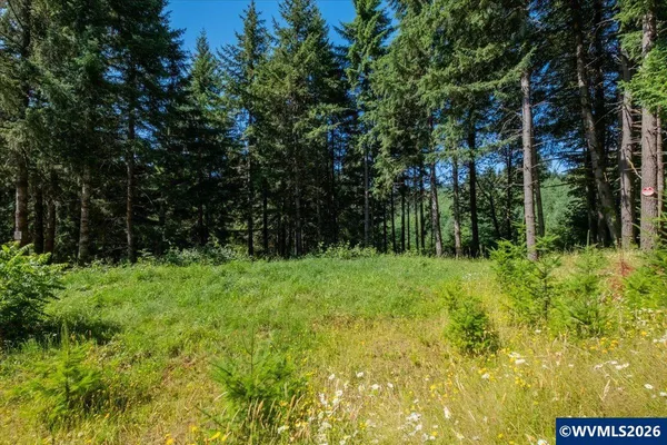 $159,900 | 432 Chamberlain Road, Falls City, OR 97344