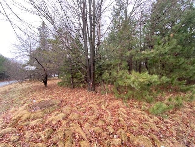 Lot 1 Sideline Road Wausau, WI 54403 - Photo 2 of 8