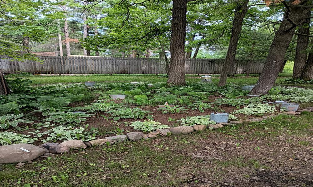 11084 320th Street Onamia, MN 56359 - Photo 44 of 47