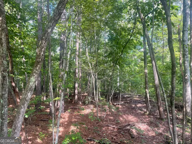 $69,900 | 0 Young Road, Franklin, GA 30217