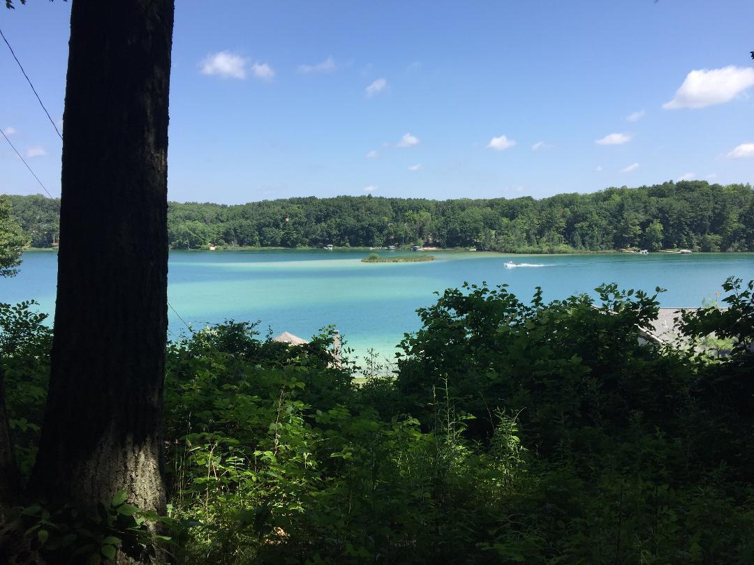 371 Burgess Lake Road Greenville, MI 48838 - Photo 1 of 16 Burgess Lake pic 1