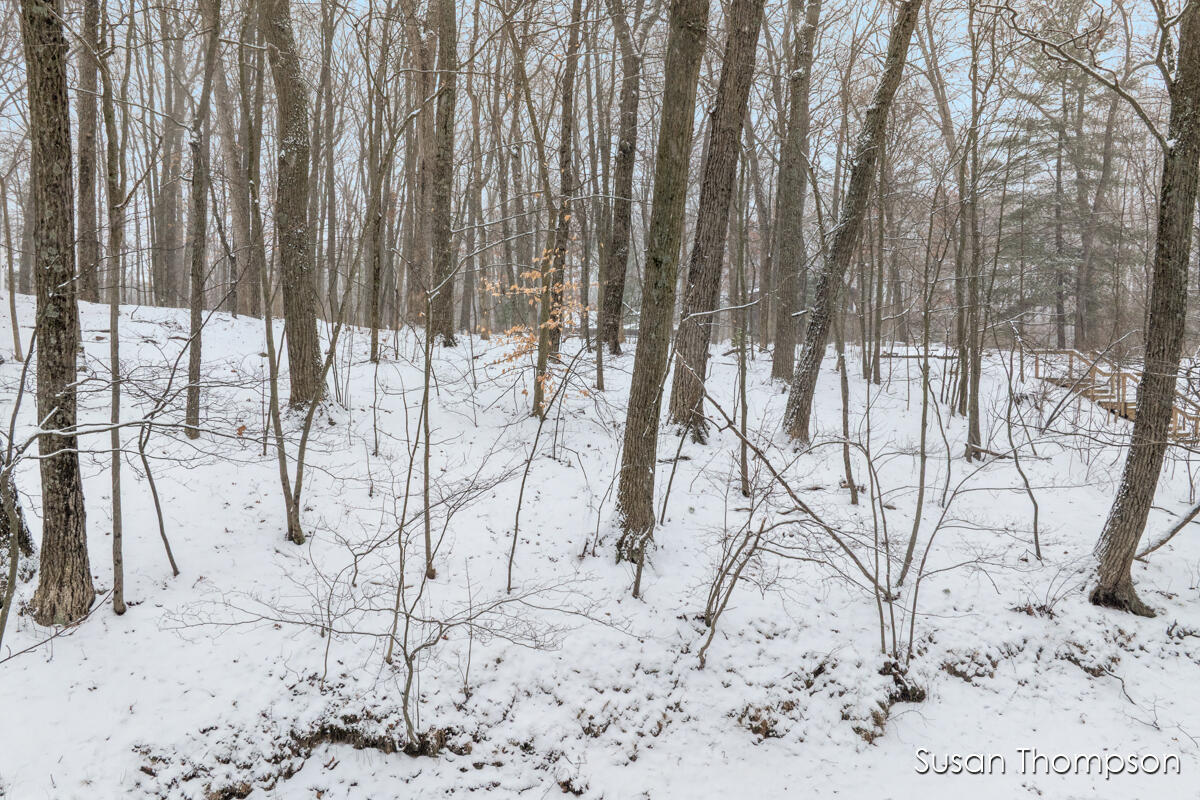 371 Burgess Lake Road Greenville, MI 48838 - Photo 14 of 16 IMG_1000