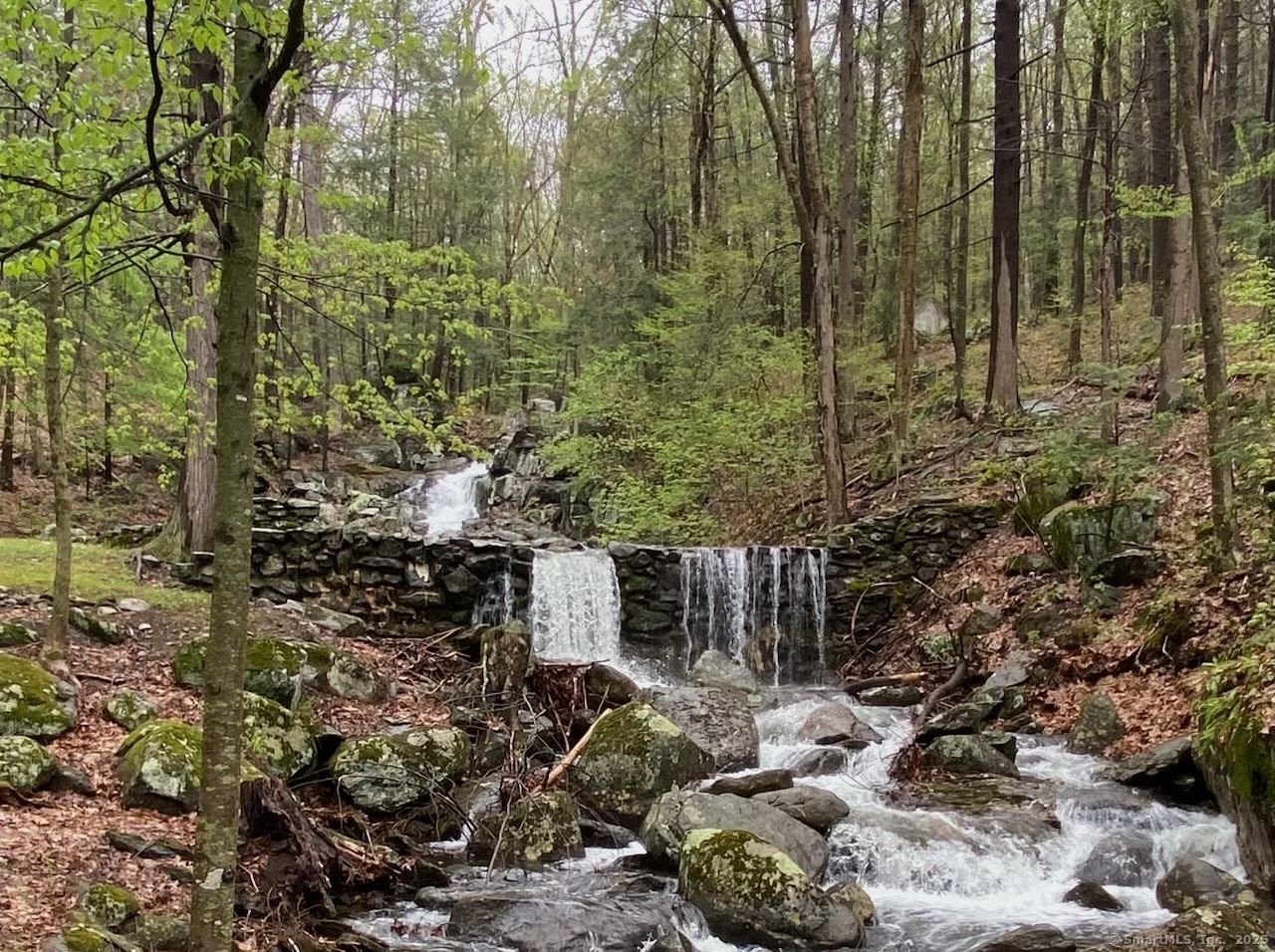 89 Under Mountain Road Canaan, CT 06031 - Photo 29 of 40 a view of outdoor space and garden