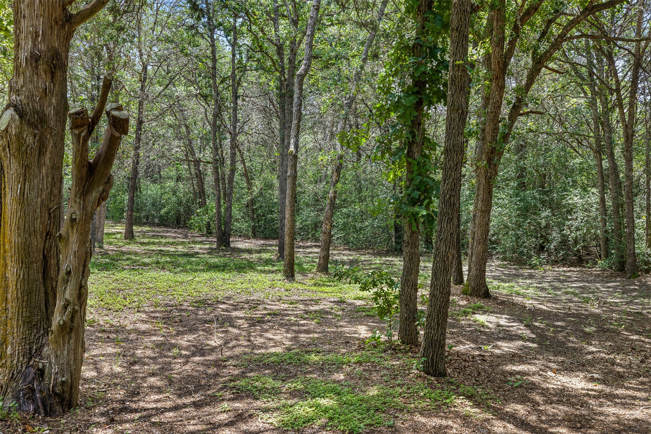 266 Jeddo Road Rosanky, TX 78953 - Photo 17 of 20