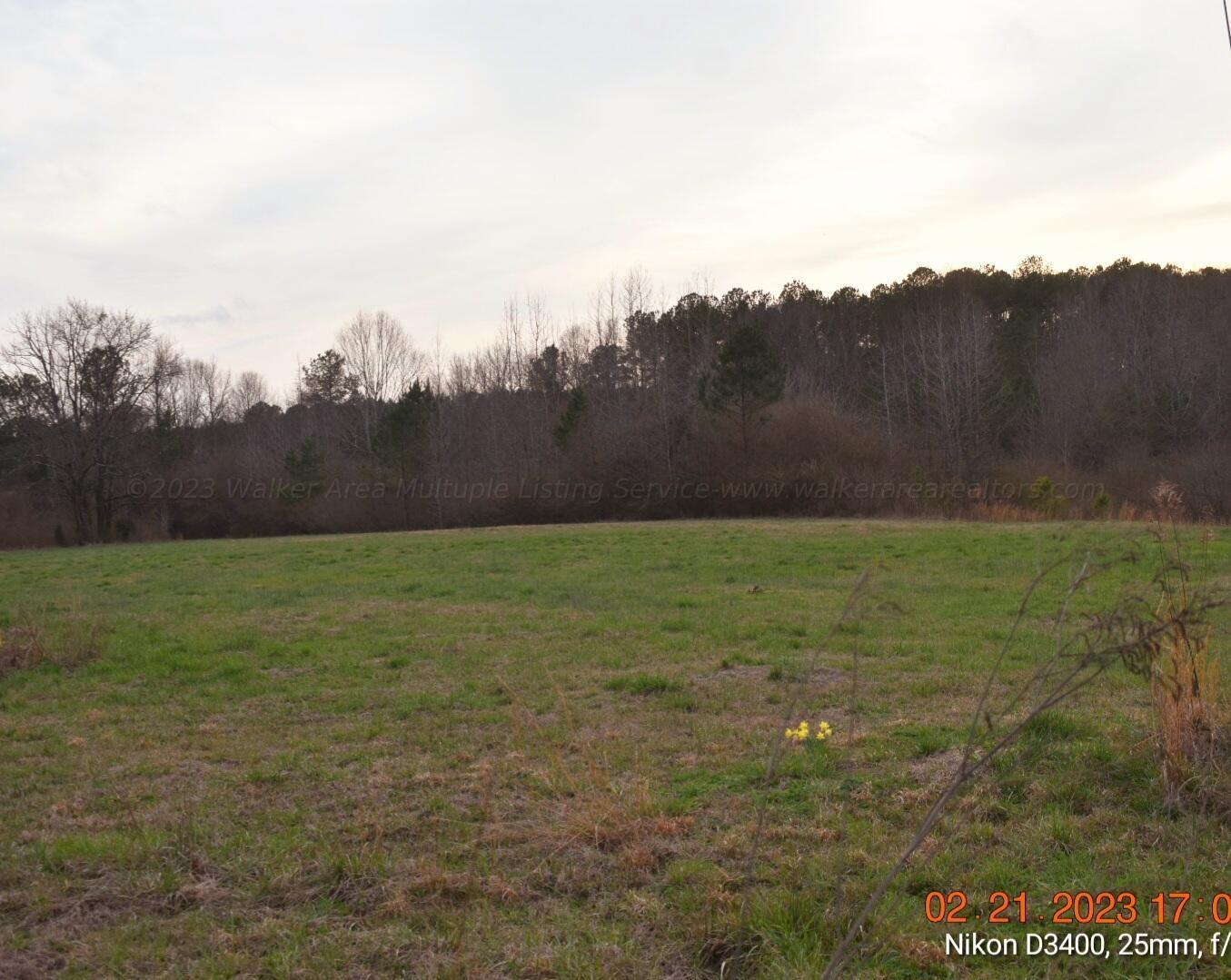 Leonards Chapel Road Carbon Hill, AL 35549 - Photo 8 of 41 Gallery Image 8