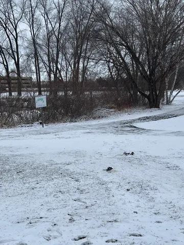 $225,000 | 4145 Austin Street Northeast, Circle Pines, MN 55014