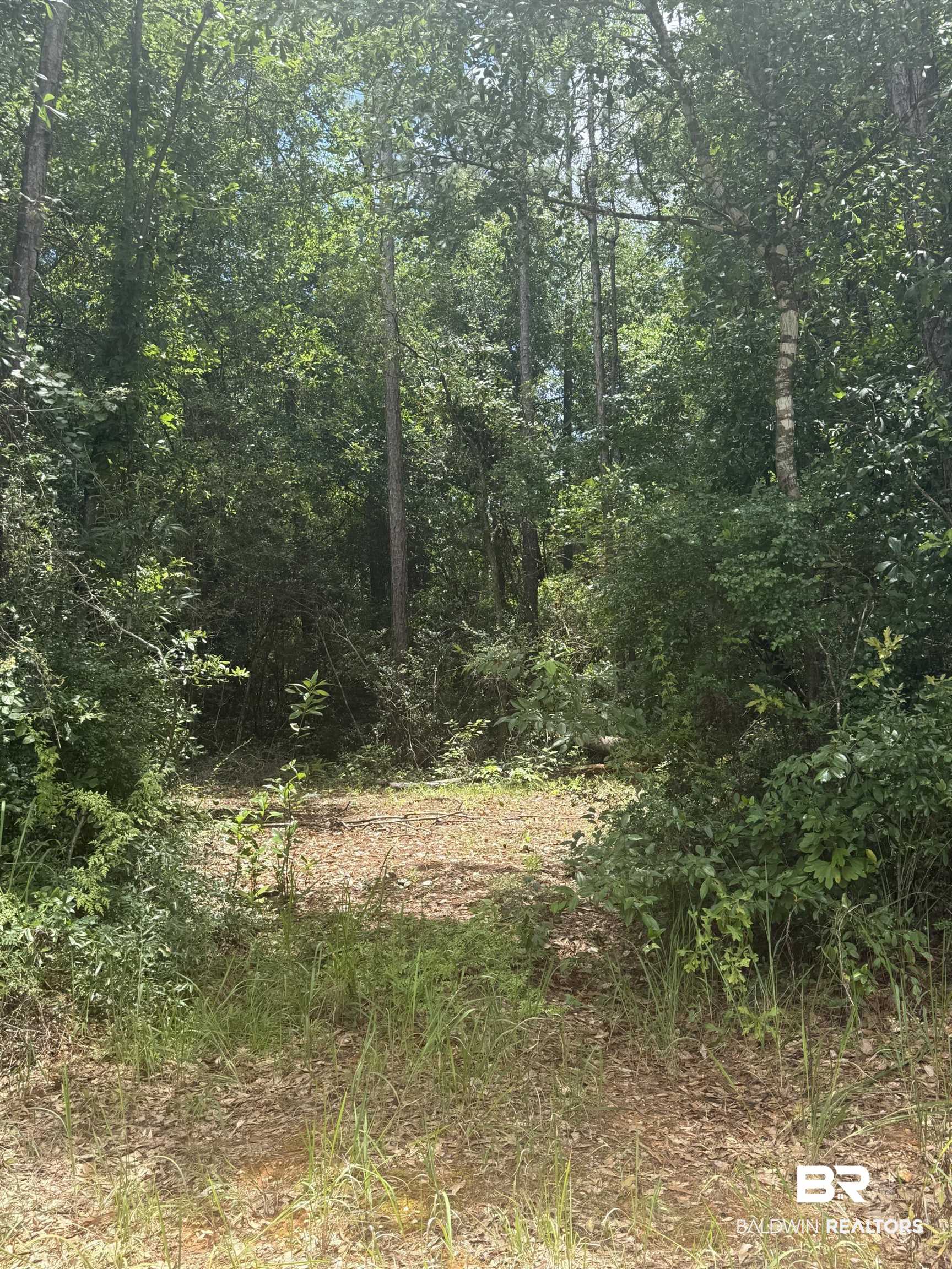 29607 Fox Branch Road Loxley, AL 36551 - Photo 5 of 5