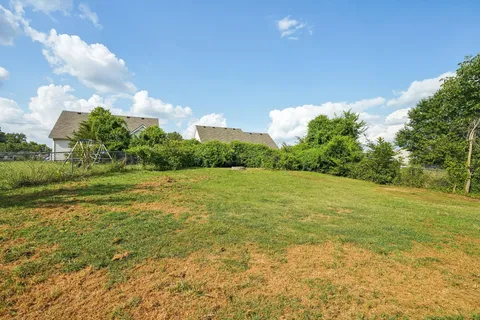 a view of a field with an trees
