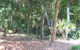 Lot 1 Harrison Point Trail Fernandina Beach, FL 32034 - Photo 1 of 6 Gallery Image 1