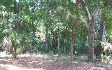 Lot 1 Harrison Point Trail Fernandina Beach, FL 32034 - Photo 3 of 6 Gallery Image 3