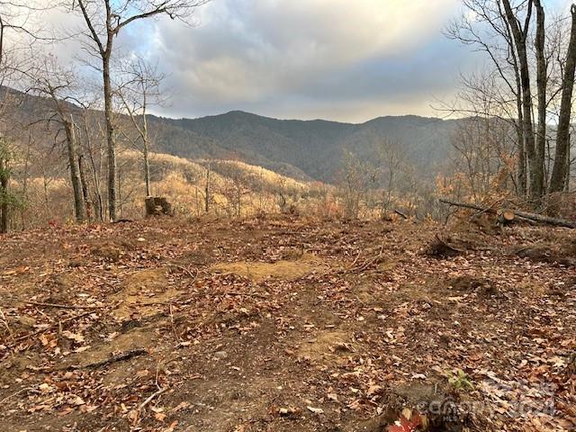 19 Catawba Ridge Maggie Valley, NC 28751 - Photo 5 of 5 Gallery Image 5