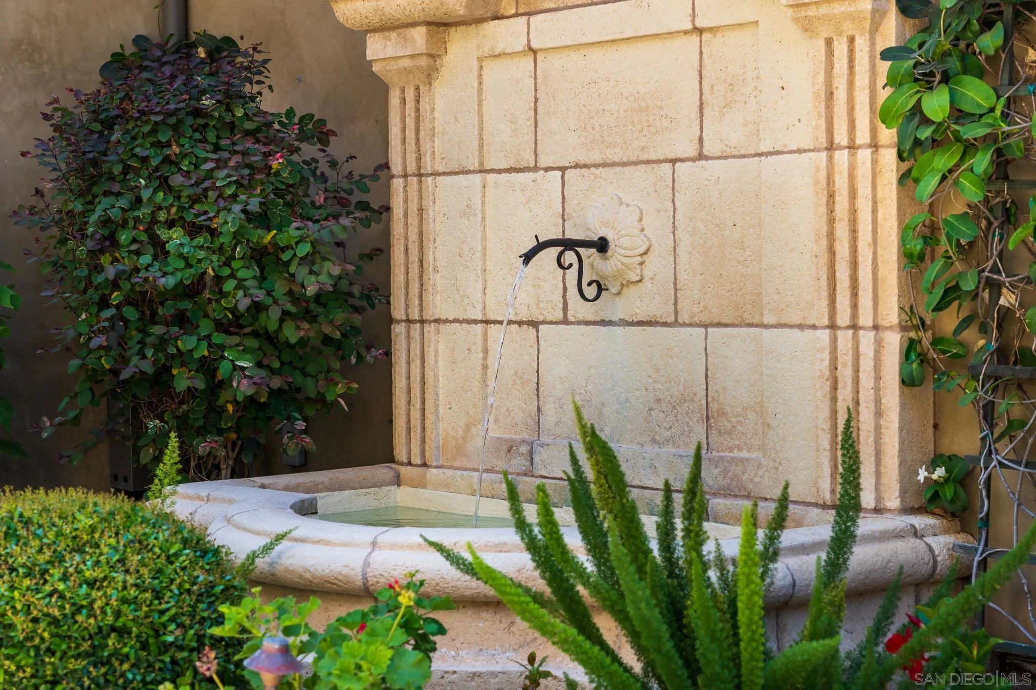 8053 High Time Ridge San Diego, CA 92127 - Photo 49 of 62 a view of a plant in a garden