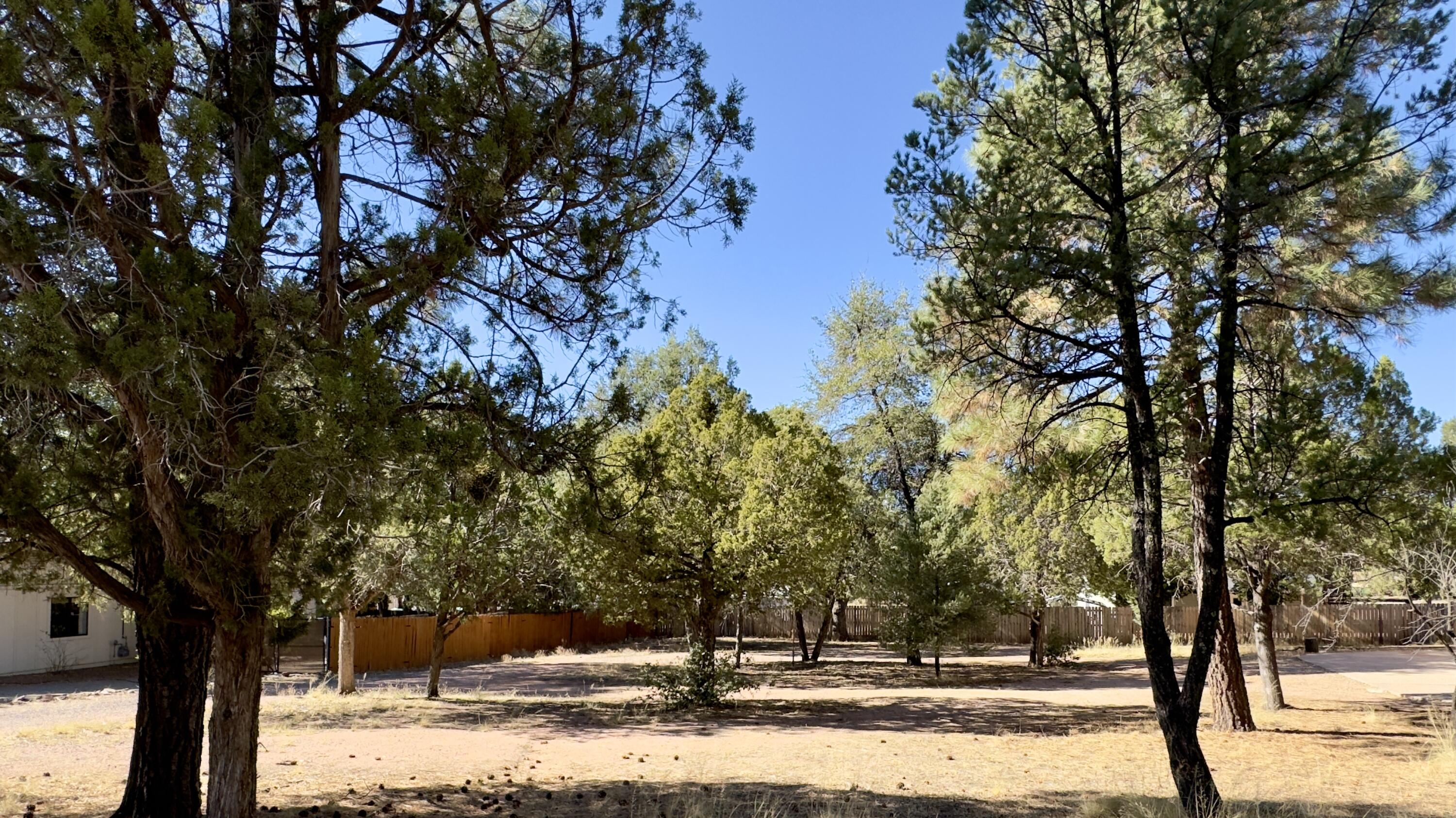 1428 North Easy Street Payson, AZ 85541 - Photo 6 of 12