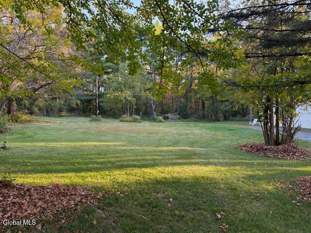 242 Lape Road Schodack, NY 12123 - Photo 31 of 33 IMG_3623