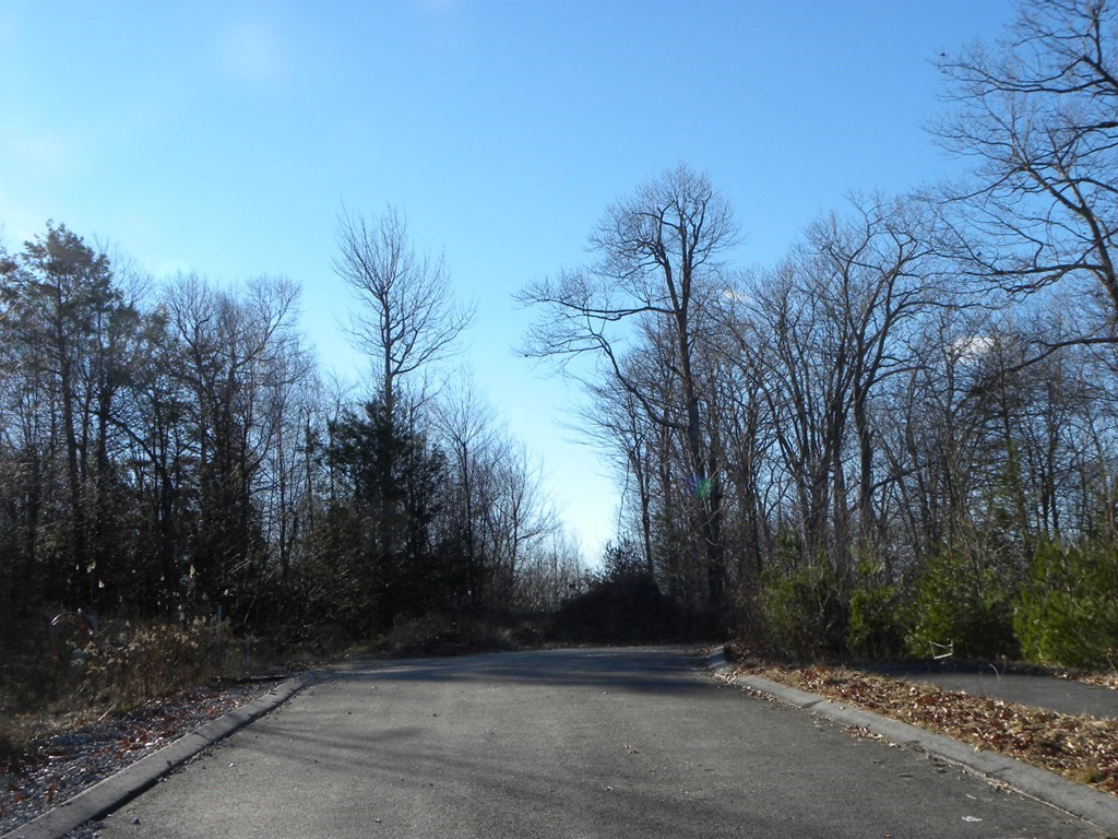 Lot 4 Hycrest Road Charlton, MA 01507 - Photo 8 of 13 Gallery Image 8