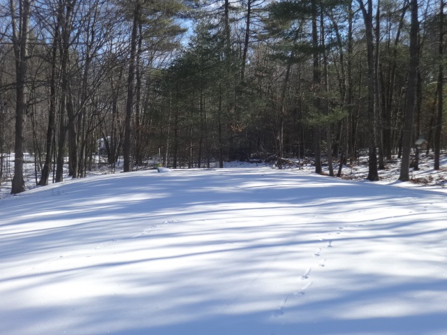 41 Castle Hill Road Windham, NH 03087 - Photo 3 of 15