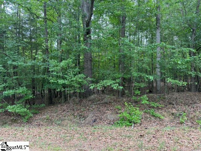 Cobb Road Pelzer, SC 29669 - Photo 11 of 19