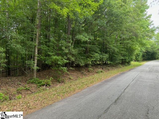 Cobb Road Pelzer, SC 29669 - Photo 12 of 19