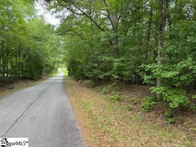 Cobb Road Pelzer, SC 29669 - Photo 13 of 19