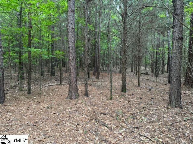 Cobb Road Pelzer, SC 29669 - Photo 3 of 19