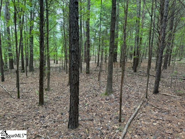 Cobb Road Pelzer, SC 29669 - Photo 4 of 19