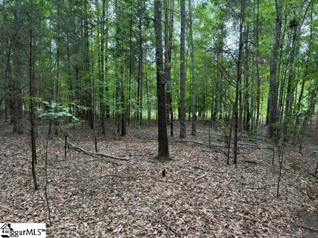 Cobb Road Pelzer, SC 29669 - Photo 5 of 19