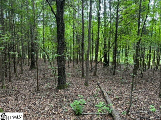 Cobb Road Pelzer, SC 29669 - Photo 6 of 19