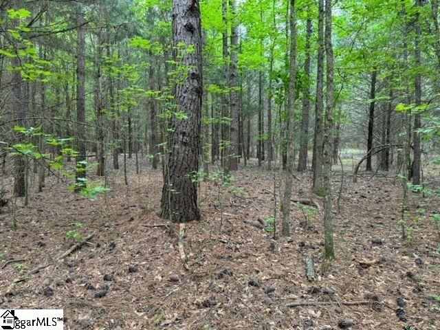 Cobb Road Pelzer, SC 29669 - Photo 7 of 19