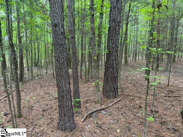 Cobb Road Pelzer, SC 29669 - Photo 8 of 19