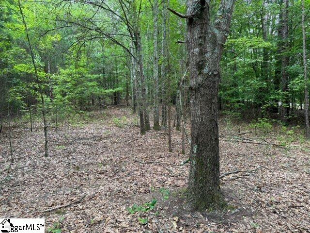 Cobb Road Pelzer, SC 29669 - Photo 9 of 19