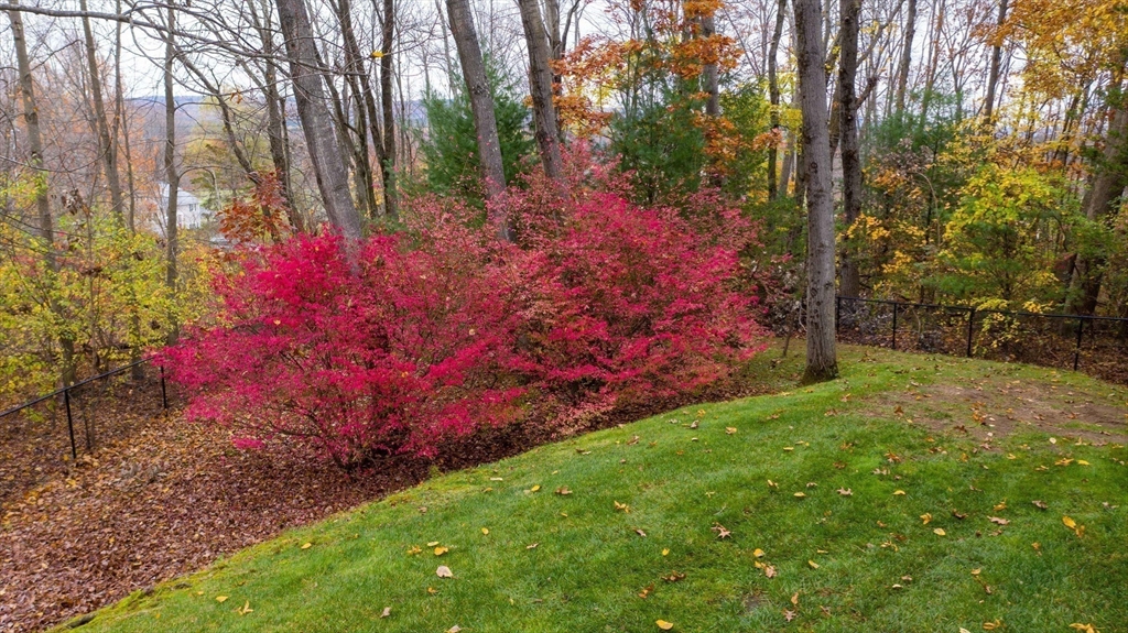 6 Eveningstar Drive Amherst, MA 01002 - Photo 42 of 42