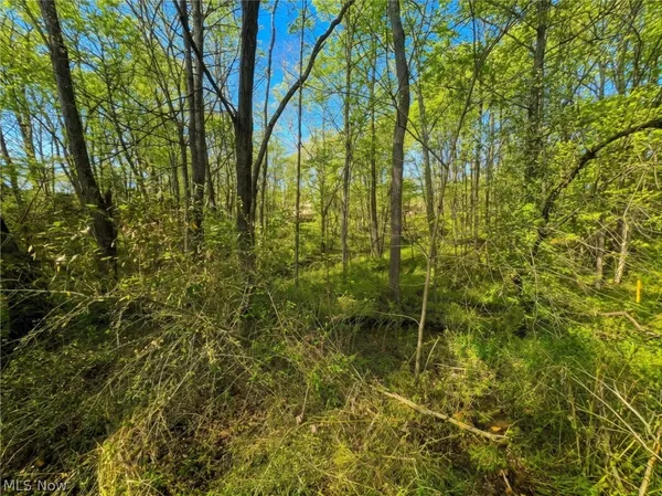 $22,500 | 0 Bohl Drive, Marietta, OH 45750