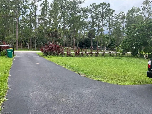 a view of a park with large trees