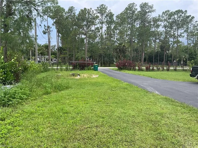 a view of a park with large trees