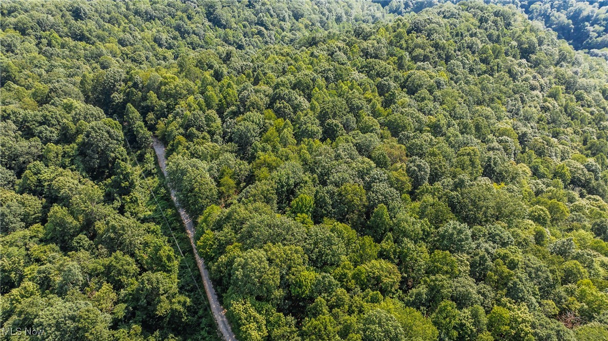 1187 Umstead Ridge Palestine, WV 26160 - Photo 11 of 12