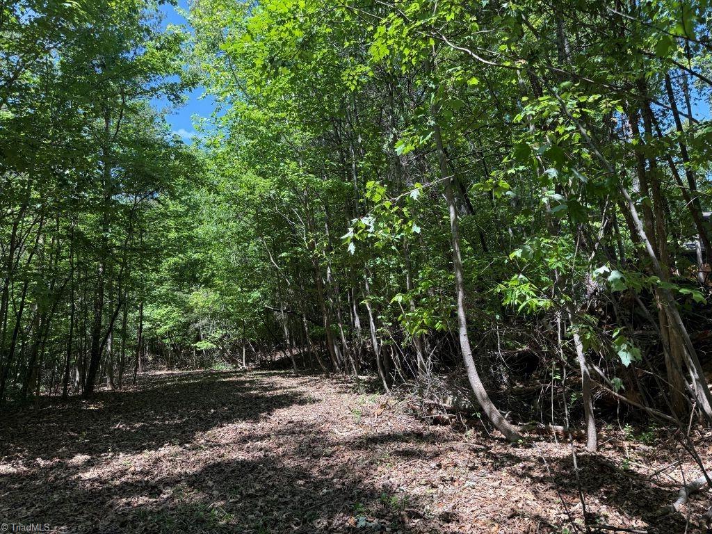 0 Broadview Road Pfafftown, NC 27040 - Photo 2 of 11