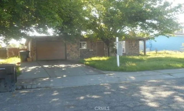 a view of a yard with plants and trees