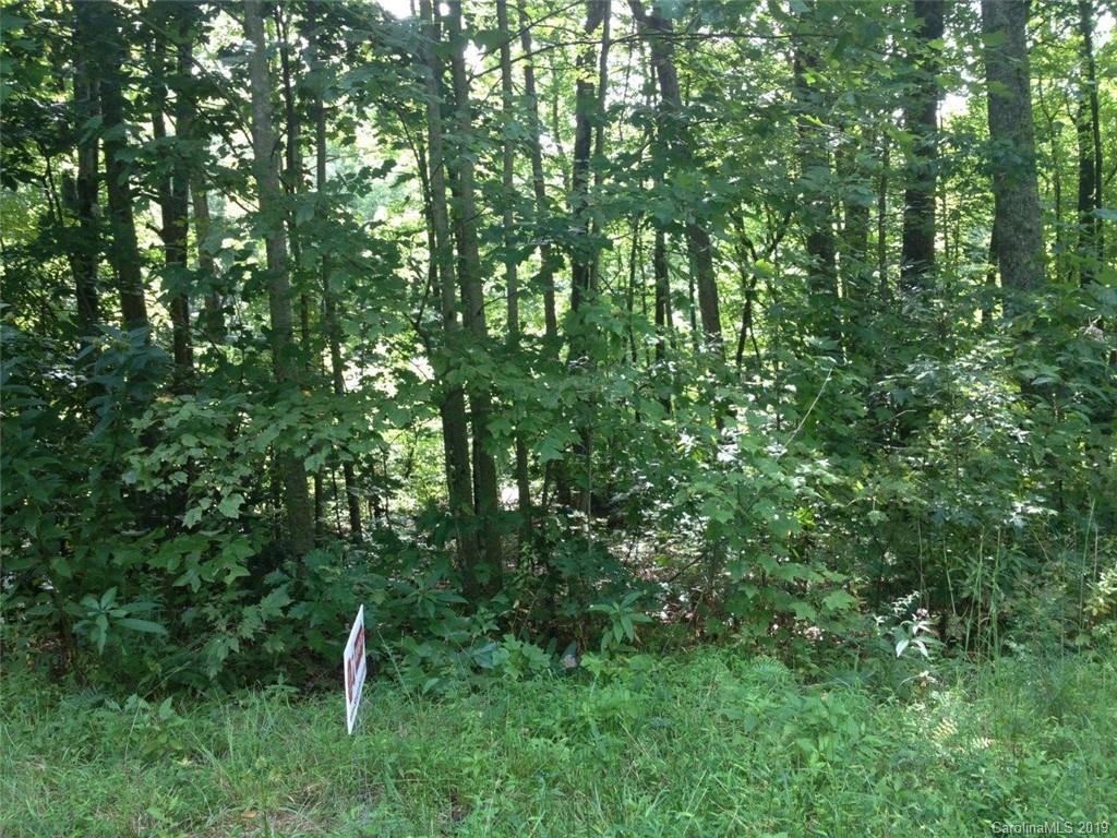 Tbd Old Toxaway Road Brevard, NC 28712 - Photo 1 of 4 Gallery Image 1